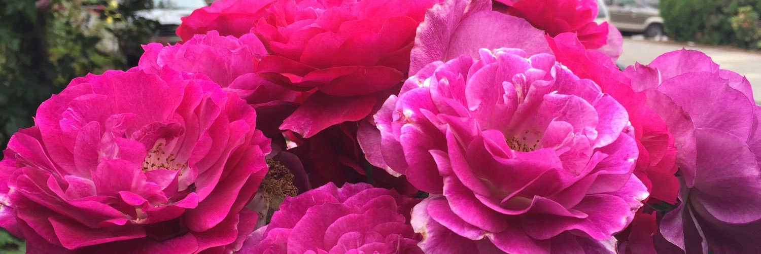CarlaRose's profile banner image