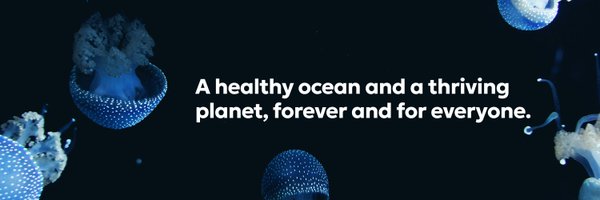 OurOcean Profile Banner