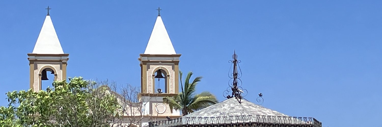 Judith Zubieta banner