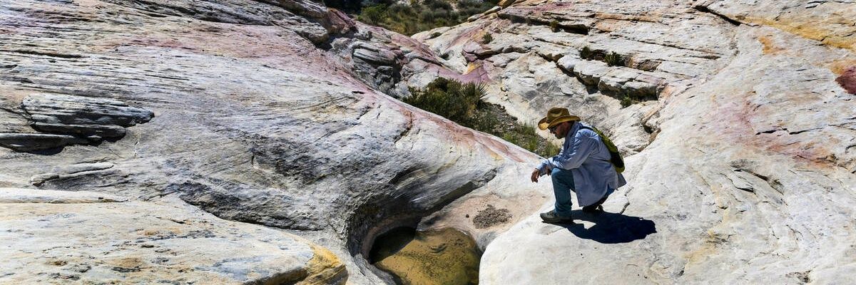 Patrick Donnelly banner