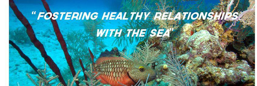 Alligator Head Foundation banner