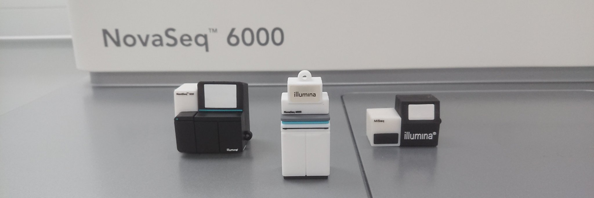 Newcastle GCF banner