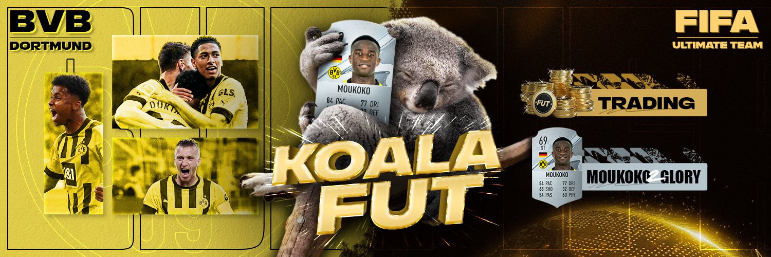 Paul | Koala FUT banner