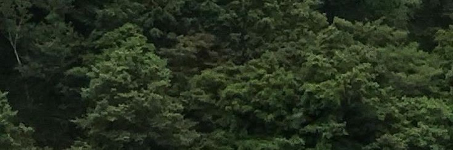 َ banner