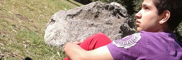 Mikkealeex's profile banner image