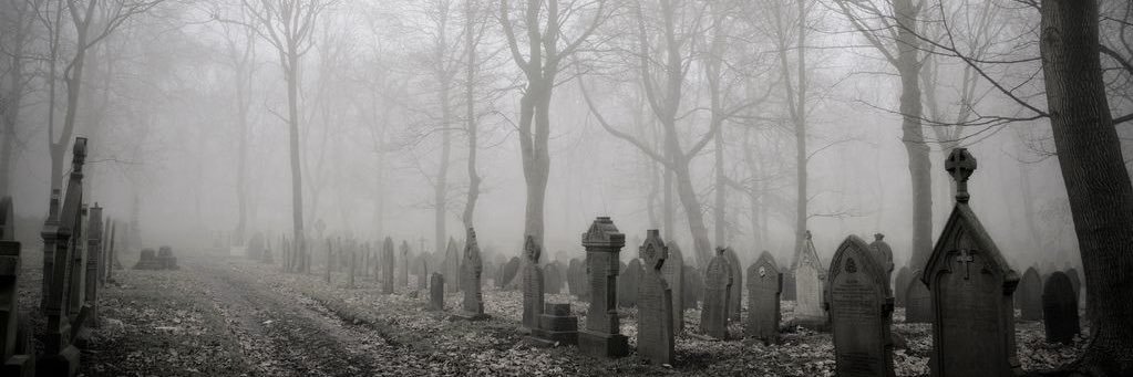 Vallmosse ❦ banner