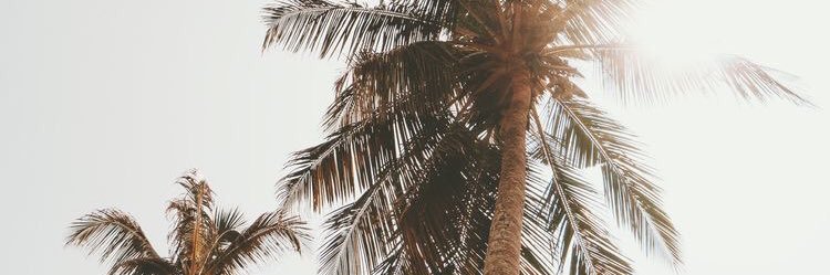 ariellemae_'s profile banner image