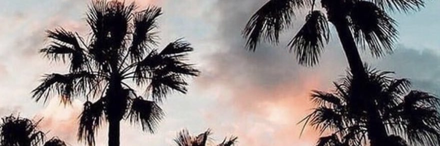 meg_raelyn's profile banner image
