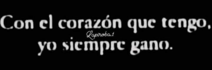 DanyBebé banner