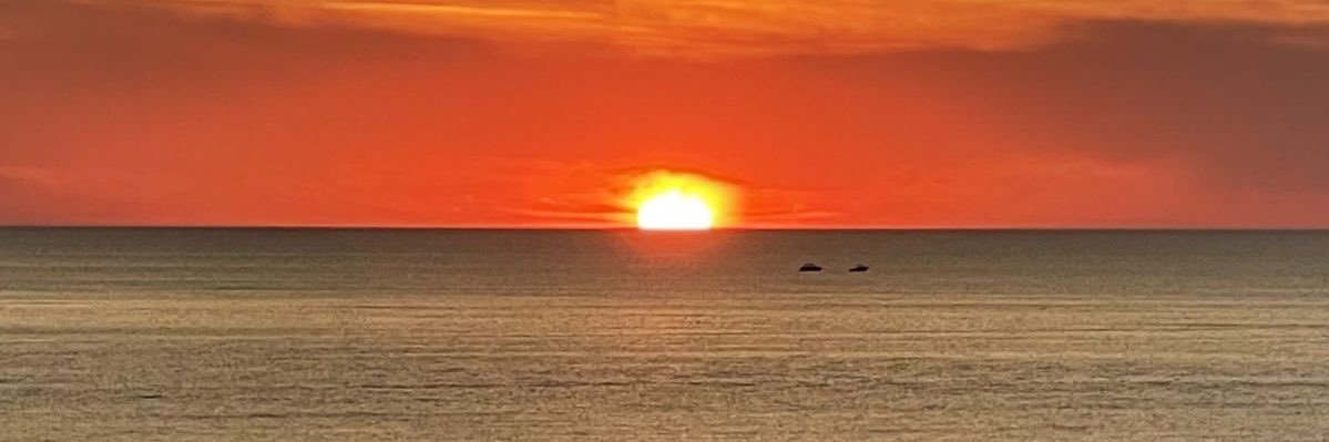 ts_rianne's profile banner image