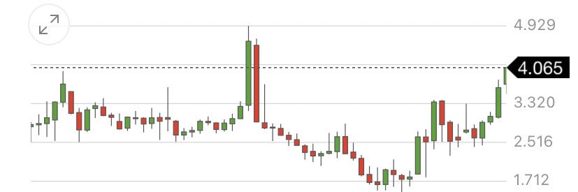 In Nacho We Trust banner