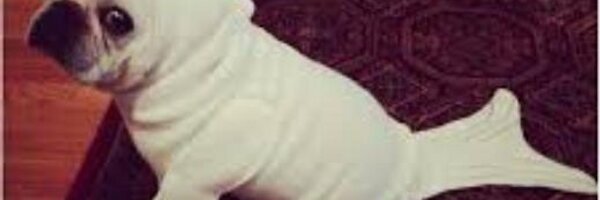 samsax1 Profile Banner