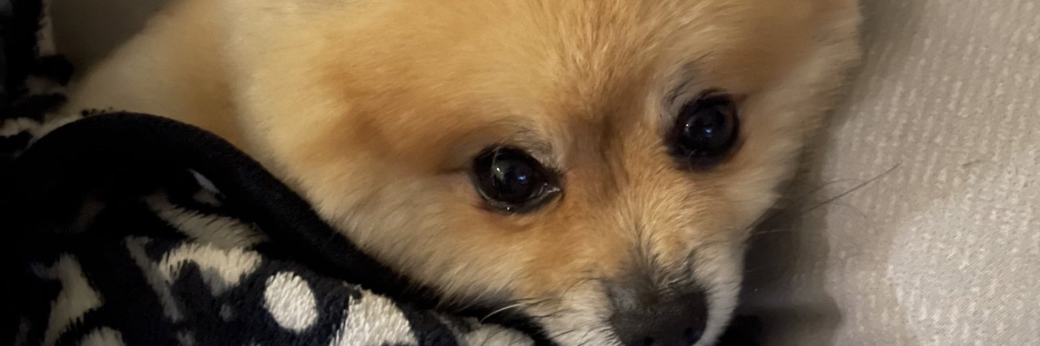 Britneyhuong's profile banner image