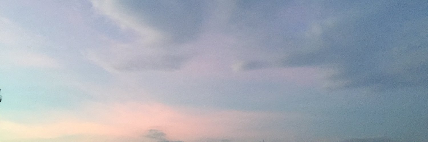 AlineHellmers's profile banner image