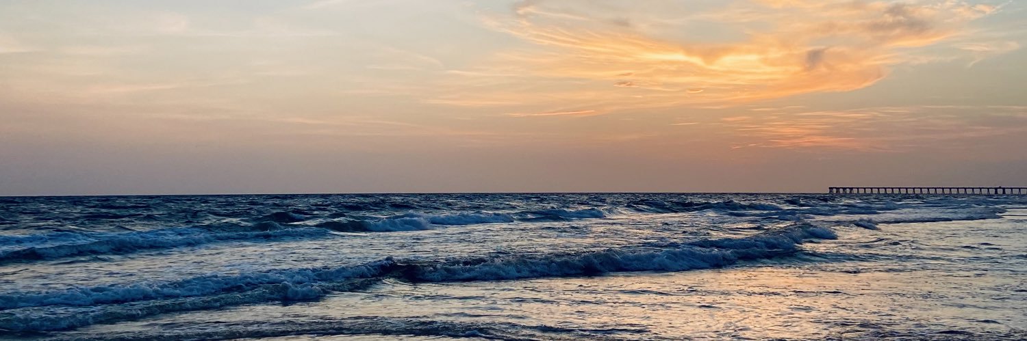 chels_foges's profile banner image