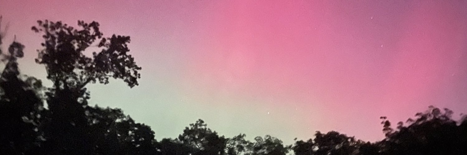 MidwestMom 🇺🇸🏝️🐓 banner