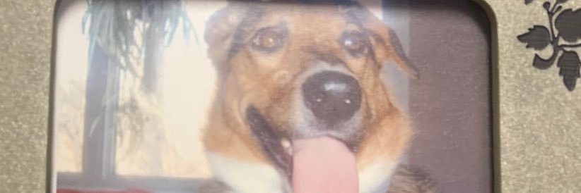 _gooch1's profile banner image
