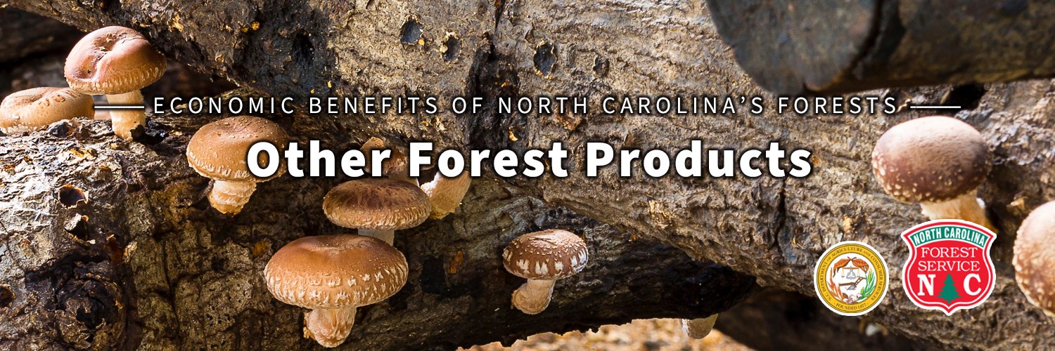 N.C. Forest Service's banner