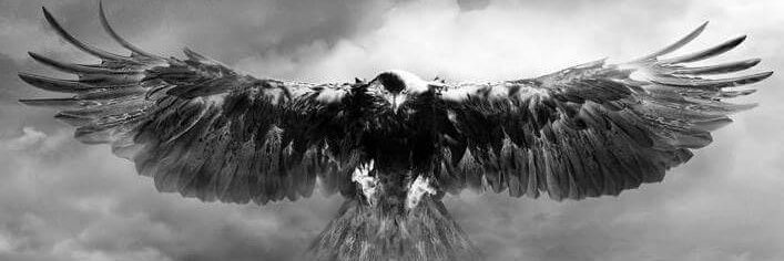 Leventgraphy's profile banner image