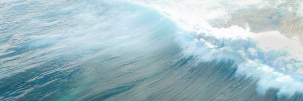 dillwanner Profile Banner