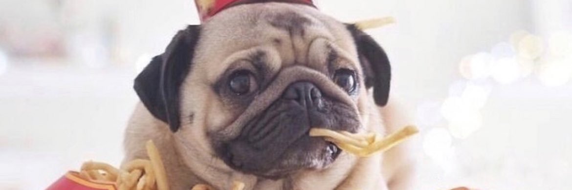 Pugnuggets's profile banner image