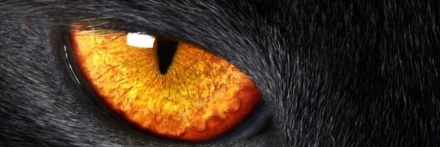 •♥•Qataria Lady banner