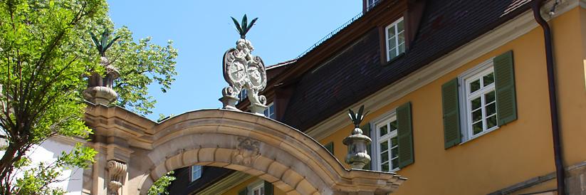 mathiasengel's profile banner image