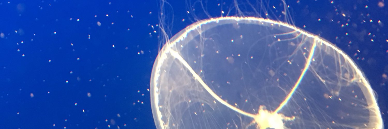 pallen500's profile banner image