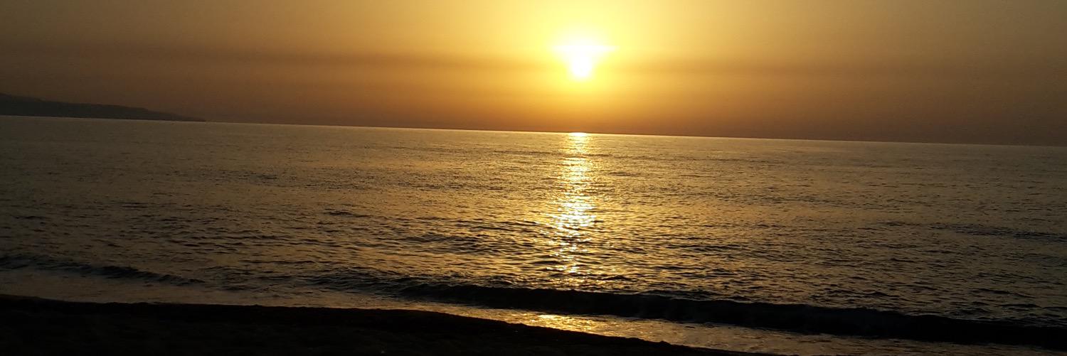 gailthomson_'s profile banner image
