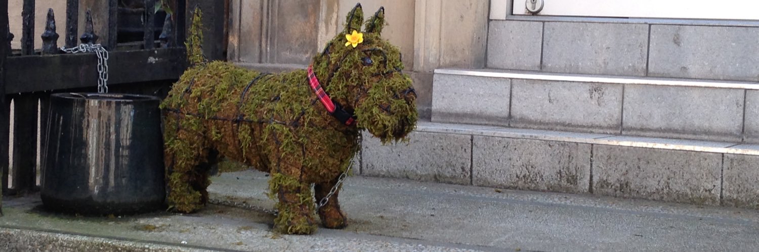 JennRoseB's profile banner image