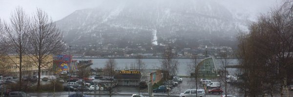 Liz__Talbot Profile Banner