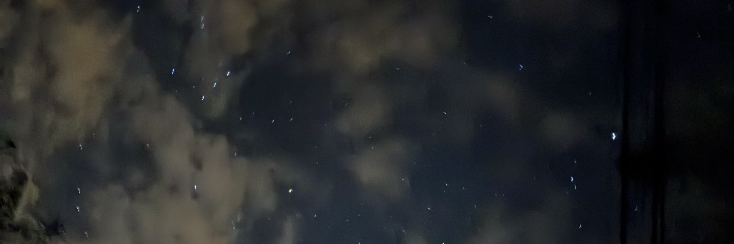 N o r a banner