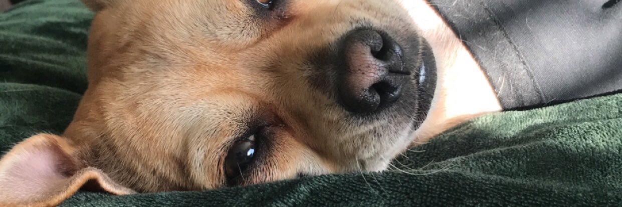 meganassty's profile banner image