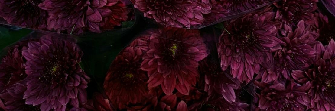 buebueeng's profile banner image
