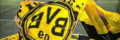 Schmelzerinho's profile banner image