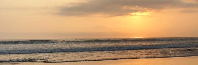 anisawardn's profile banner image