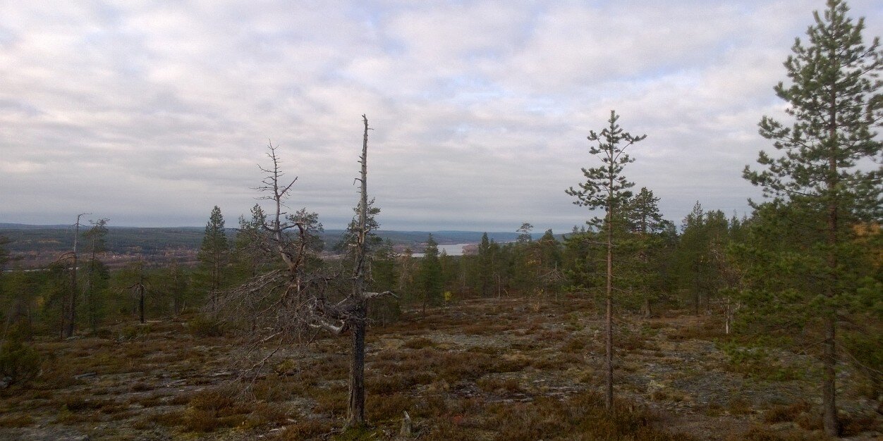 kaikkonenjukka's profile banner image