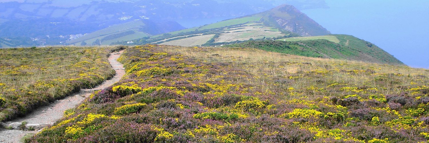 Devon Local Nature Partnership banner