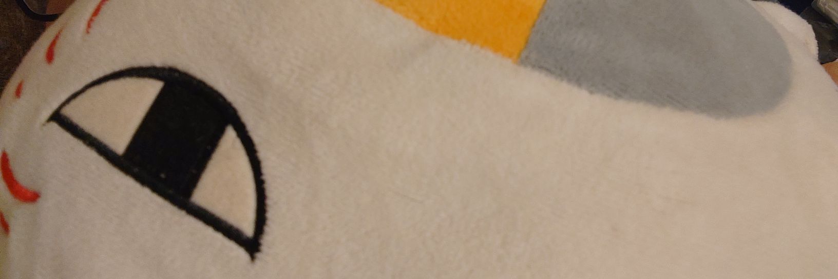 素生魚片 banner