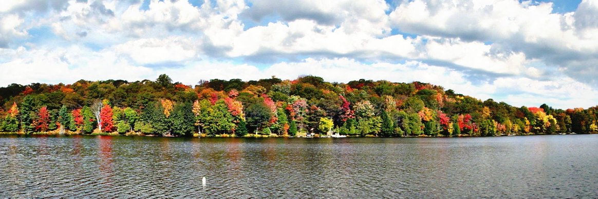 Muskoka247's profile banner image