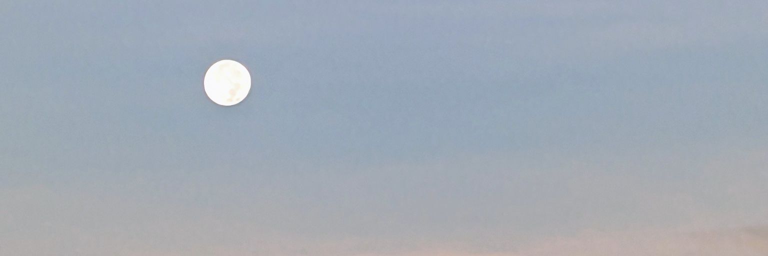 ayame1992's profile banner image