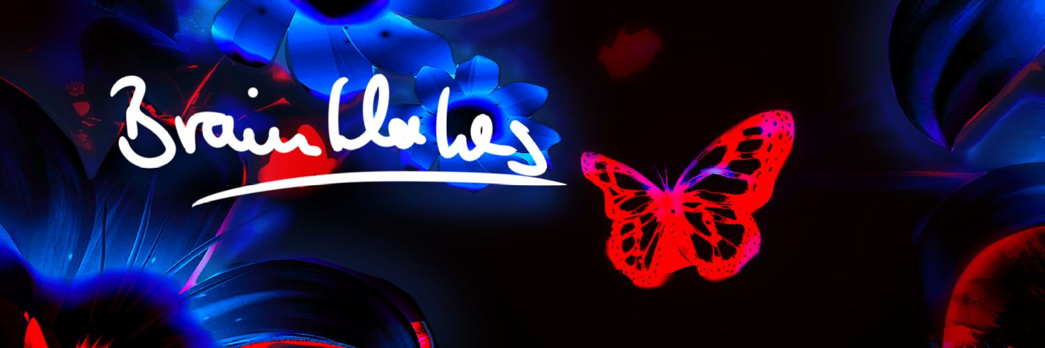 🌈🇪🇺 𝘽𝙍𝘼𝙄𝙉𝙁𝙇𝘼𝙆𝙀𝙎 ᵈᵉ 🕊️ banner