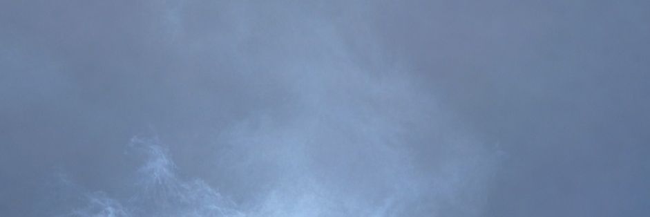 AlesyaCute's profile banner image