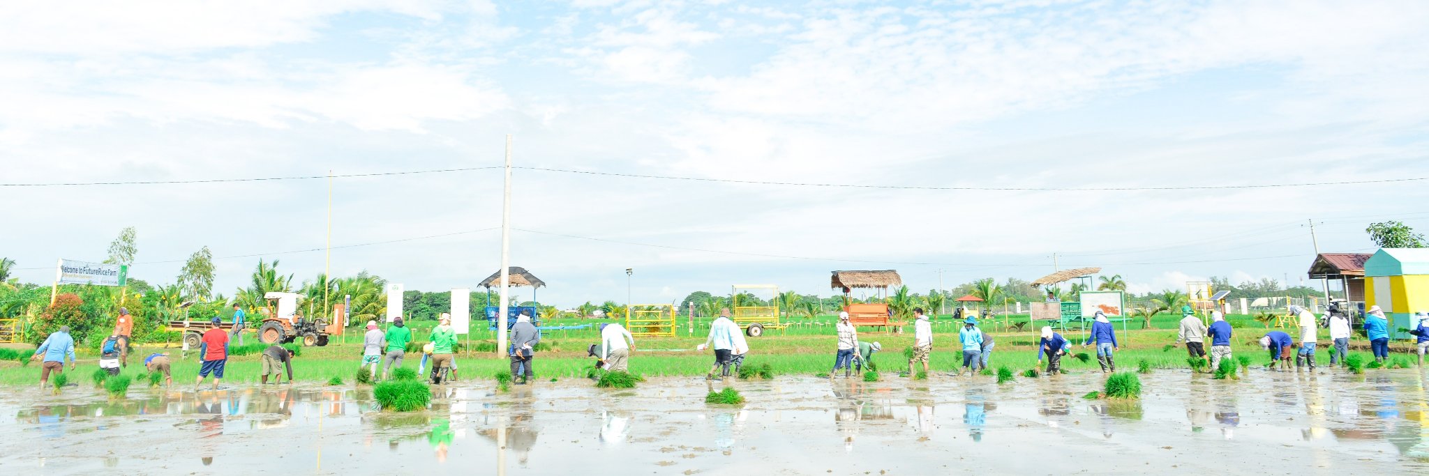 FutureRiceFarm's profile banner image