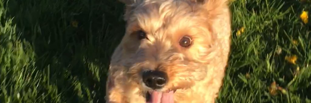 bashleydiaries's profile banner image