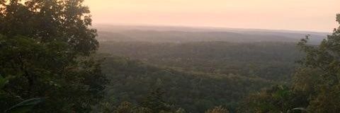 The_Log_Dog's profile banner image
