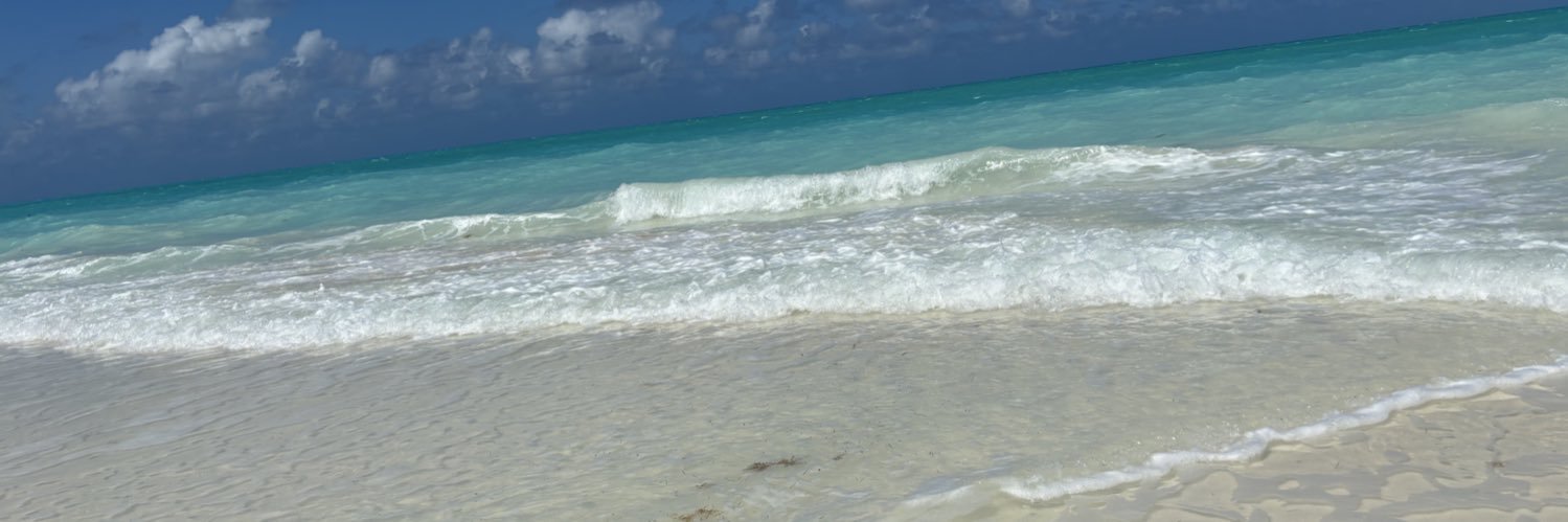 ChiChi_Wacho's profile banner image