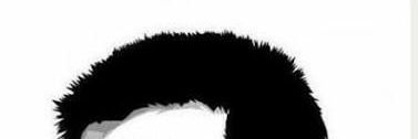 mossam4423's profile banner image