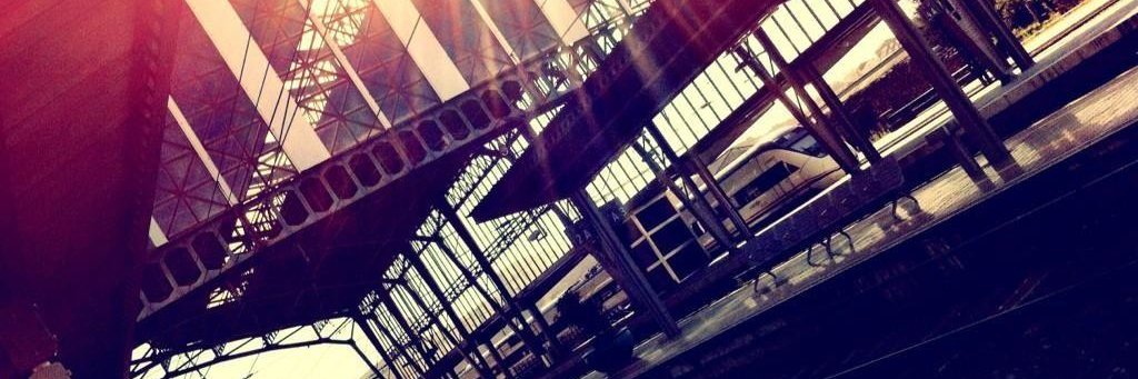 Davidelnick's profile banner image