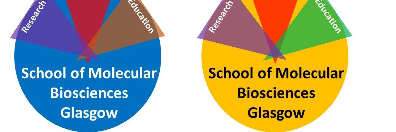 School of Molecular Biosciences banner